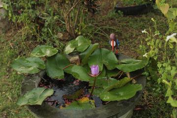 Photo 84