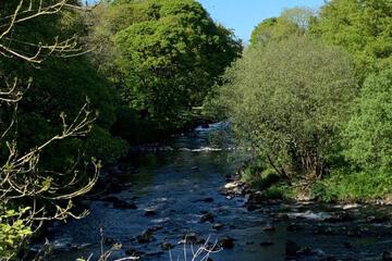 Photo 43