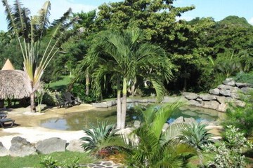 Natural pool