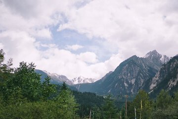 Ecotours