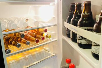 Mini-refrigerator