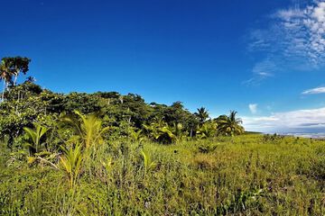 Hiking
