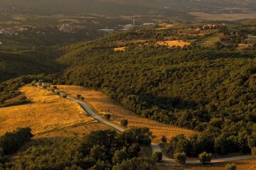 Winery