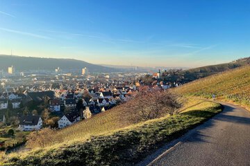 City view from property