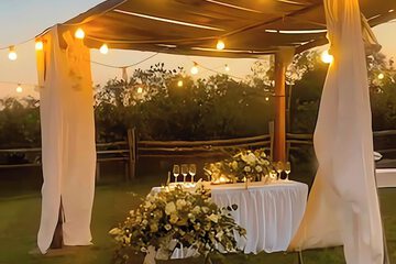 Outdoor wedding area