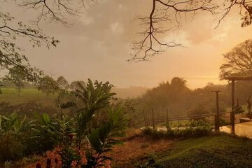 Land view from property