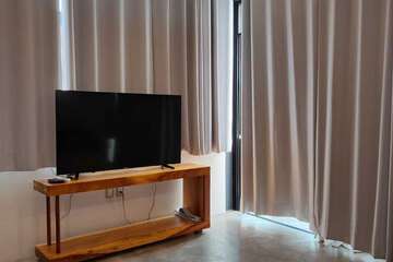 Television