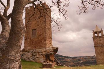 Photo 29