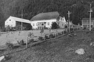 Photo 23