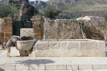 Photo 27