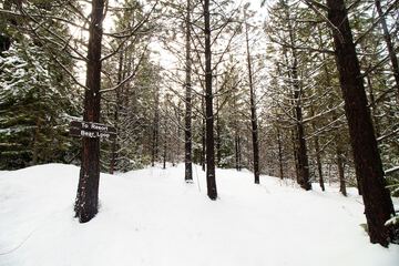Hiking