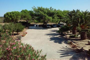Photo 28