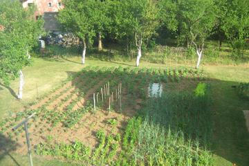 Photo 29