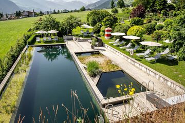 Natural pool