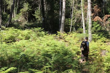 Hiking