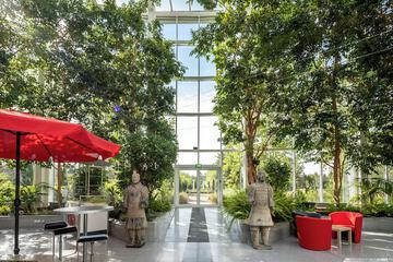 Courtyard view
