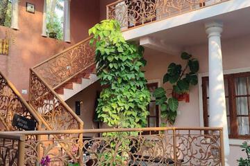 Photo 33