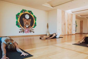 Yoga