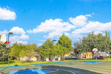 Basketball court