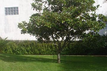 Photo 32