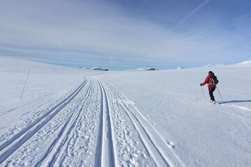 Skiing
