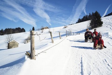 Sledding
