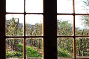 Photo 50