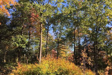 Outdoor Activities 39 of 43