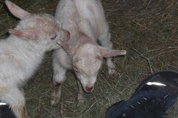 Photo 30
