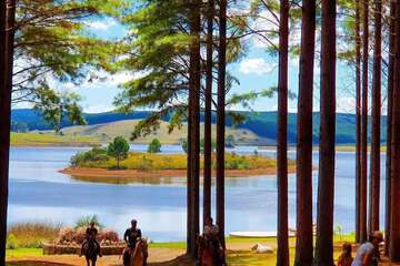 Horseback riding