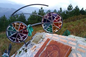 Photo 25