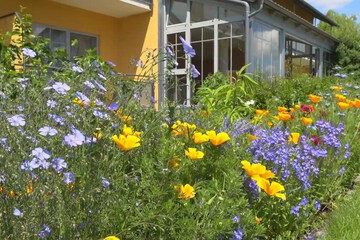 Garden view