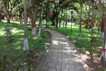 Photo 44