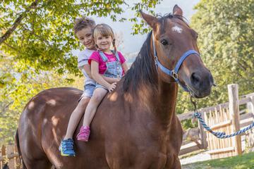 Horseback riding