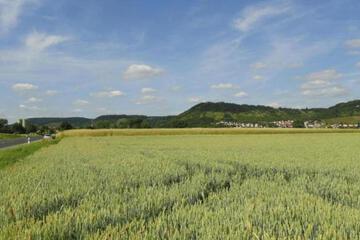 Photo 44