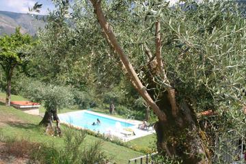 Photo 30