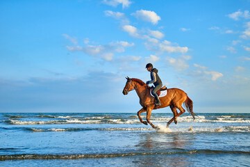 Horseback riding