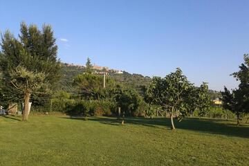 Photo 43
