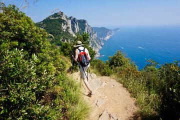 Hiking