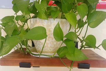 Photo 20