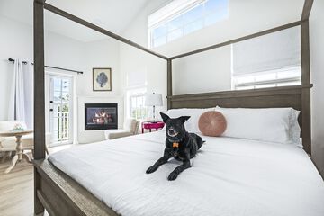 Pet-friendly