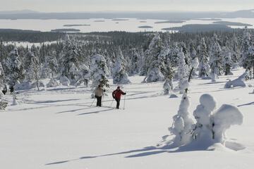 Snowshoeing