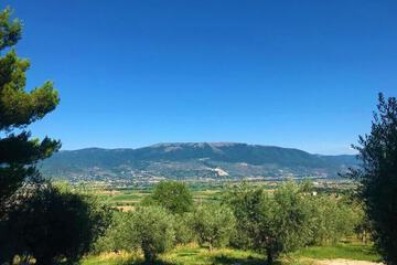 Land view from property