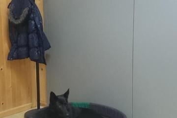 Photo 19