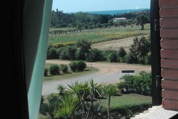 View from room