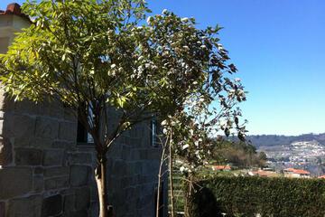 Photo 62