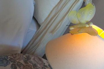 Photo 30