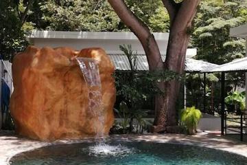Natural pool
