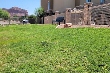 Pet-friendly amenities