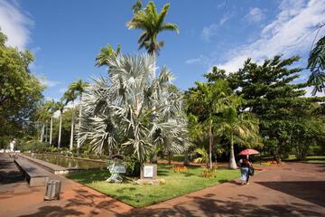 Photo 48